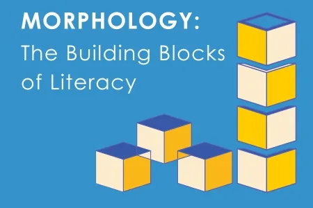 Morphology